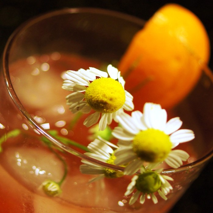 chamomile tea with chamomile flower5 copy